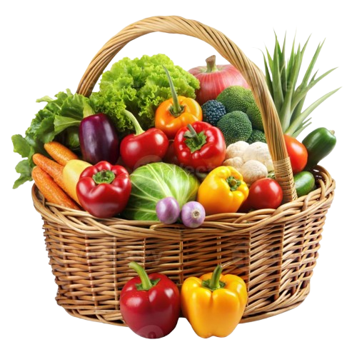 828489758785eff8b8db966e04cdf343 removebg preview