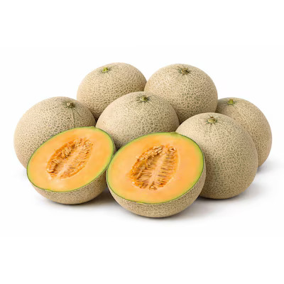 cantaloup