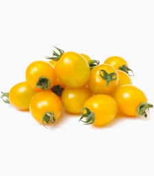 cherry tomato yellow
